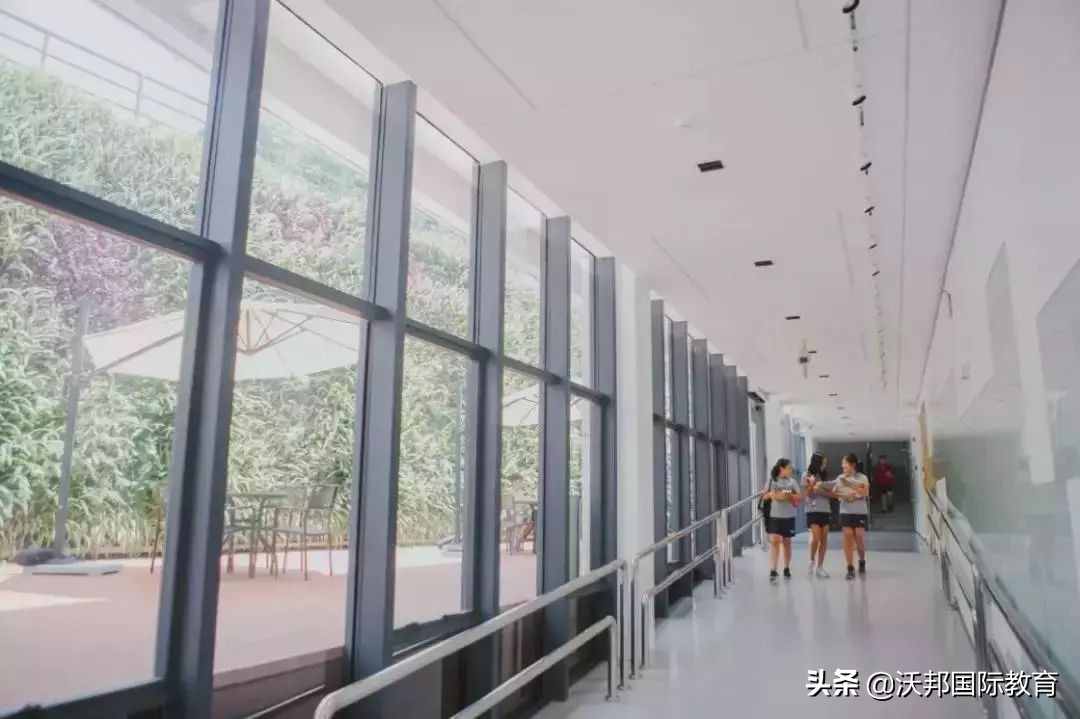 广州唯一的非盈利国际学校，学费每年20W+,为什么学生还抢着进？