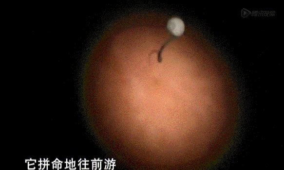 女童被妈妈饿成干尸,亲爸狂扇婴儿巴掌:你不知道,孩子有多爱你