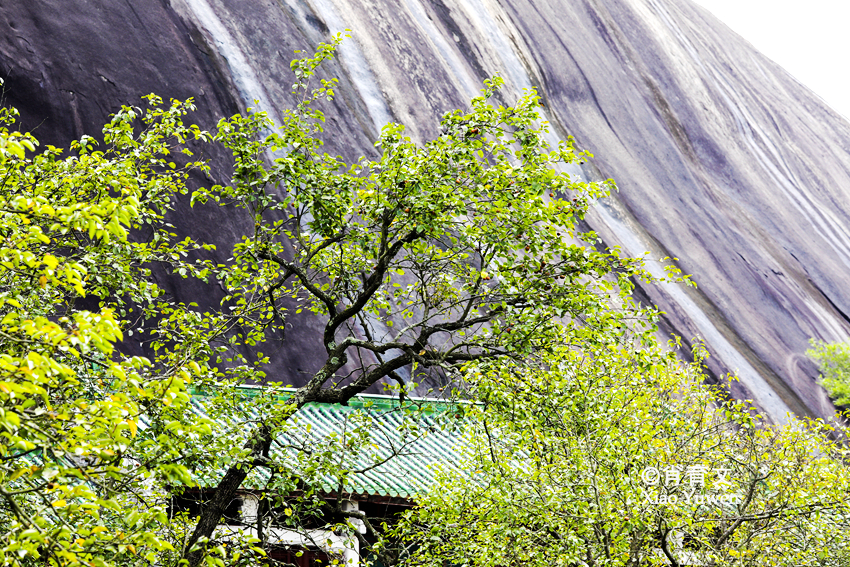 广东肇庆有块大斑石，有80个足球场大小，被誉为天下第一石