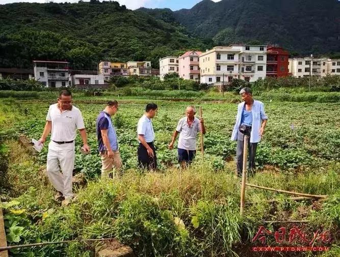漳州人当心！这种虫子又出来惹事！有人被咬后痛苦万分，甚至昏迷