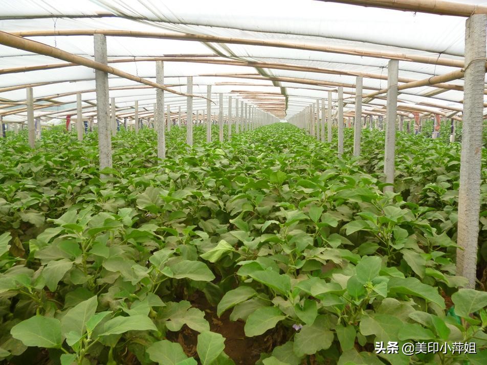 农村不起眼的暴利小生意加盟,农村投资小的冷门暴利小生意