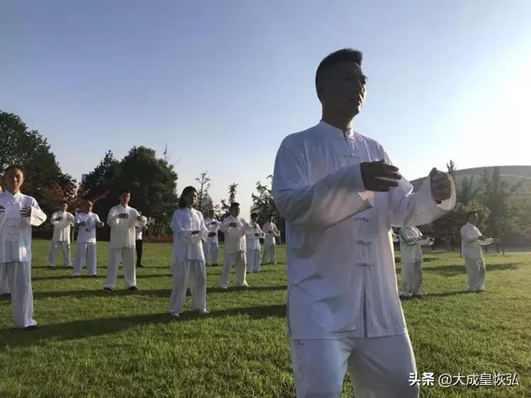 大成拳入门自学教程完整版,大成拳混元桩的高级功力