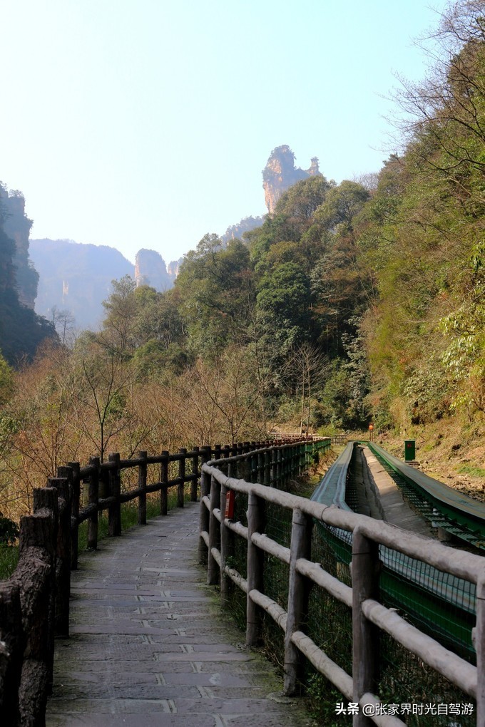 张家界森林公园亲子游攻略,张家界旅游攻略现在张家界气温