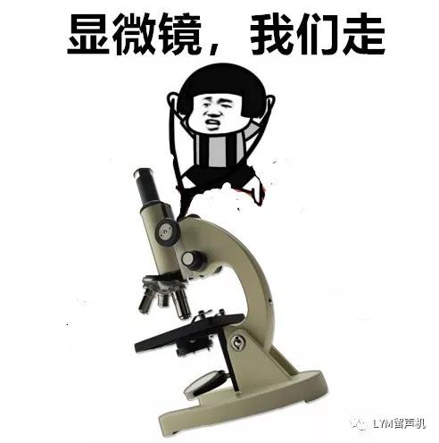 问病求理:“做病理”有什么用?