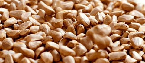 发现早期的肠癌提高5年生存率,老年人肠癌晚期生存率