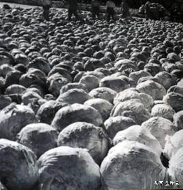 进藏部队断粮，地老鼠也是肉：风箱洞口鼓风，麻袋堵住另外出口