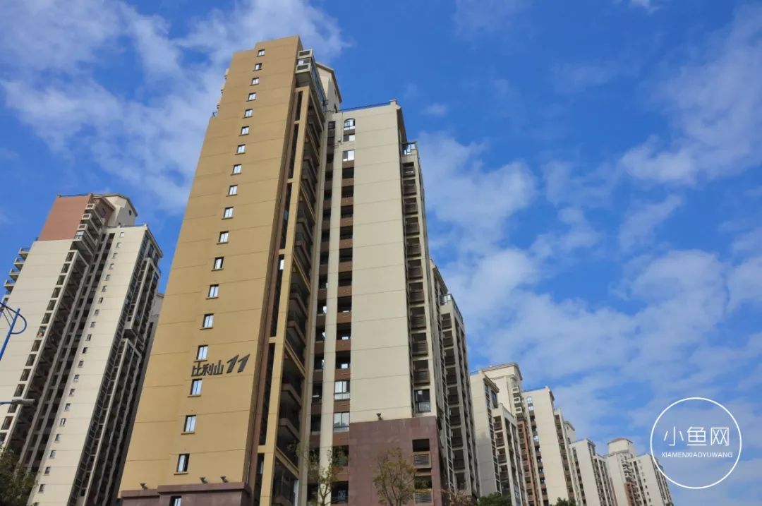 鬼城or未来可期？我们走进漳州港，发现“接盘侠”的各种悲喜交加