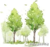 石榴生虫的视频,石榴生虫用什么方法好