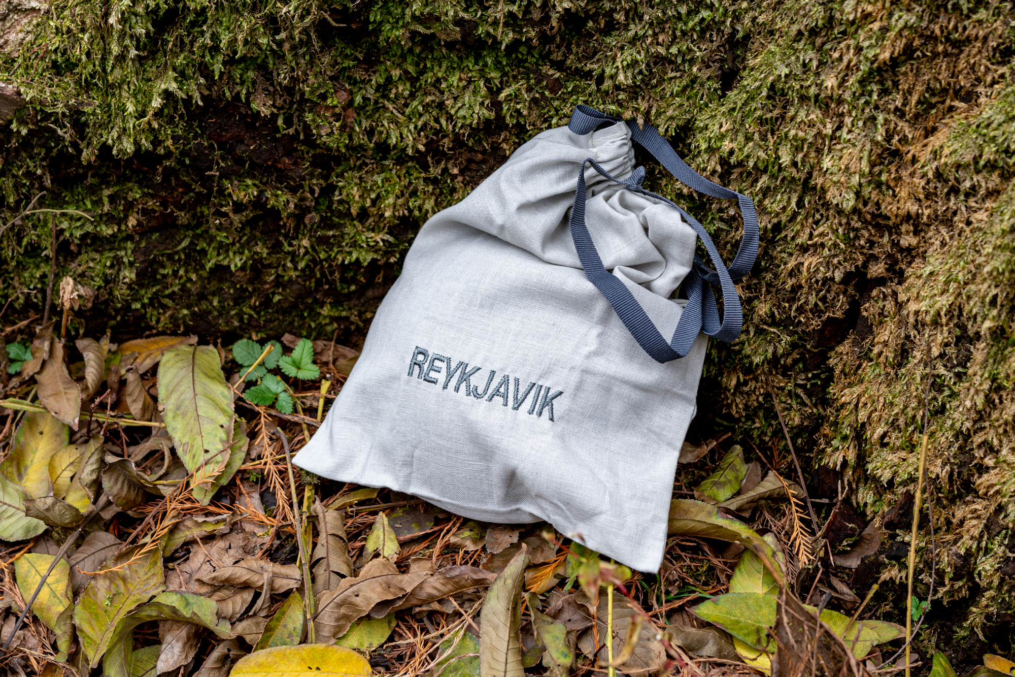 雷克雅音箱评测,雷克雅未克蓝牙音箱有底噪吗