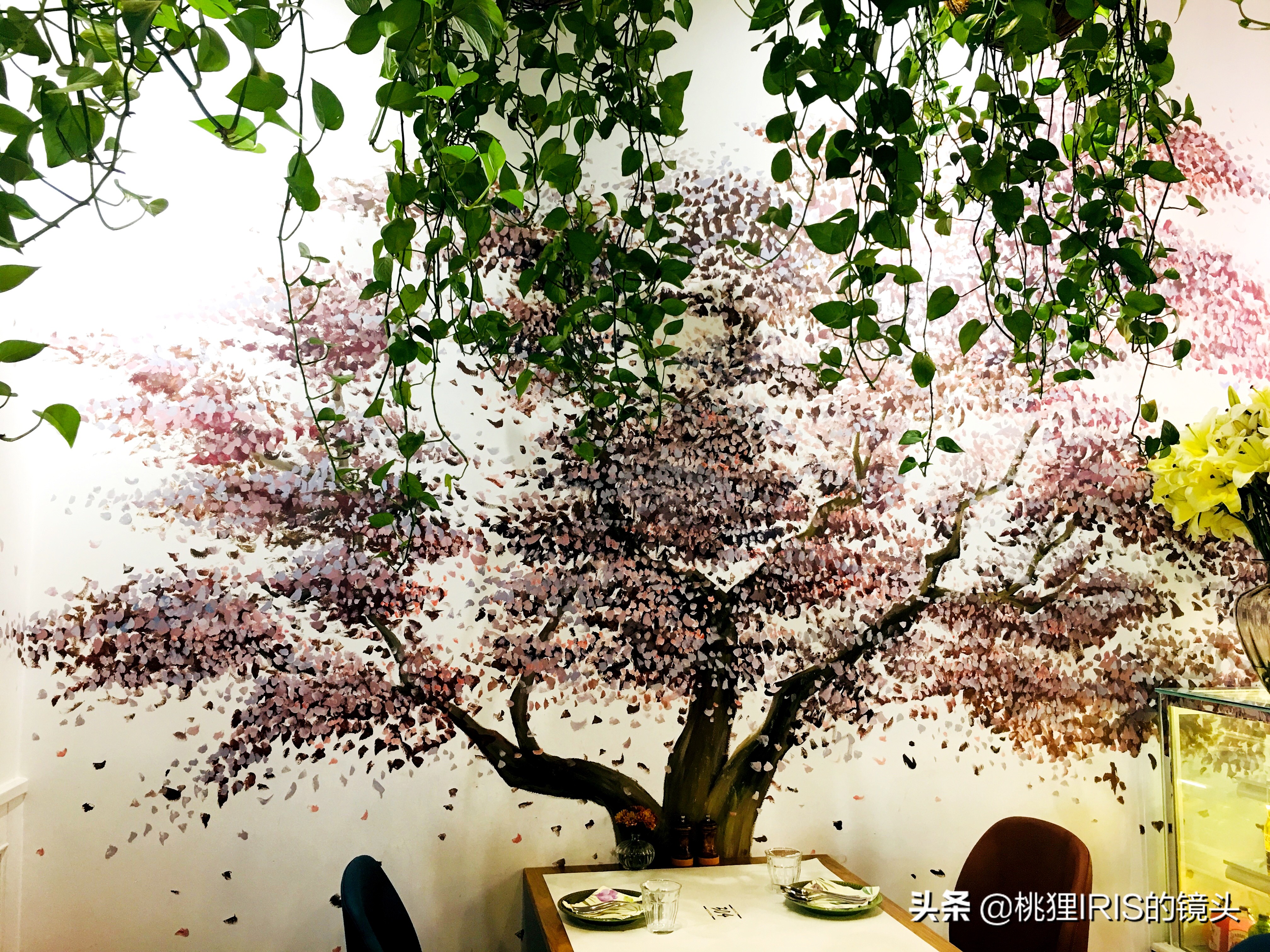 杭州餐厅探店推荐,杭州花园餐厅团购