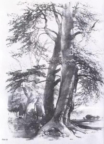 不会画风景咋办,不会画速写怎么办