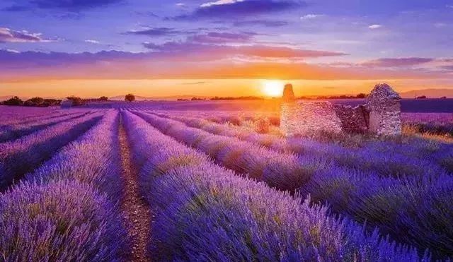 朗诵感恩有你的背景音乐,朗诵感恩有你背景视频