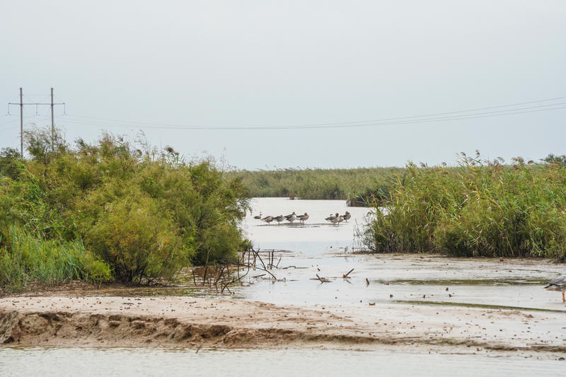 山东周边游2天1夜小众,5.1山东五日游