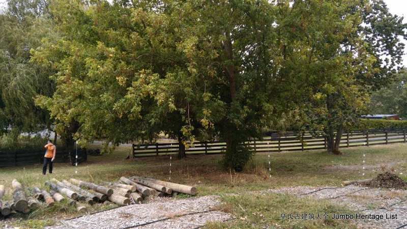 第37回的概括,第37回