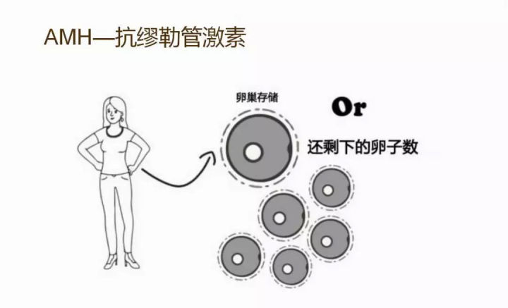 备孕女性如何自测,备孕性激素六项怎么看卵巢功能