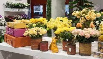 大家庭过年热门话题,过年时家分为几个区域