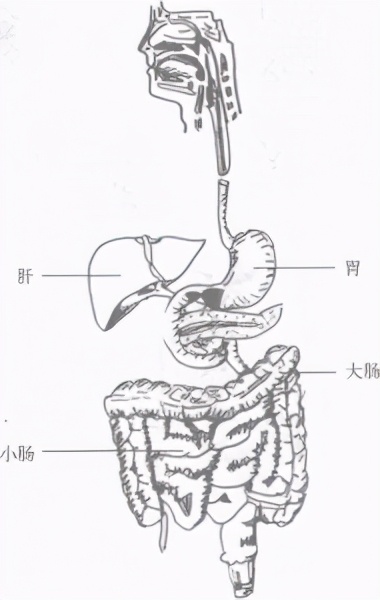 擒敌术体能训练,擒拿防身技击术