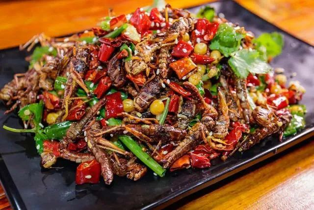 草蜢和蚂蚱都吃什么,蝗虫和蚂蚱的区别草蜢