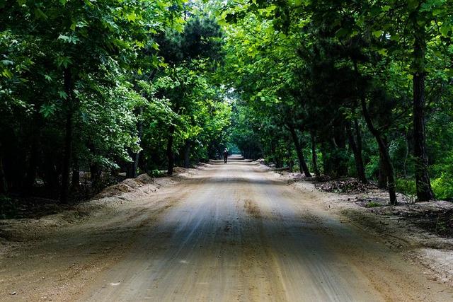 日照文旅,日照旅游攻略