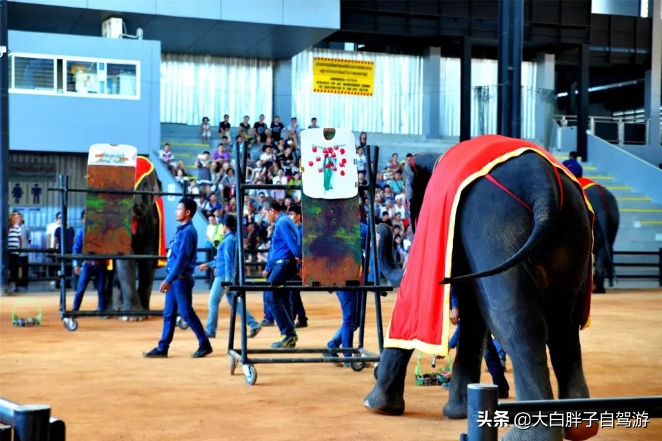 泰国风情之旅完整版,泰国风情记