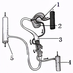 临沂市生物实验操作考试视频,临沂物理实验操作考试试题