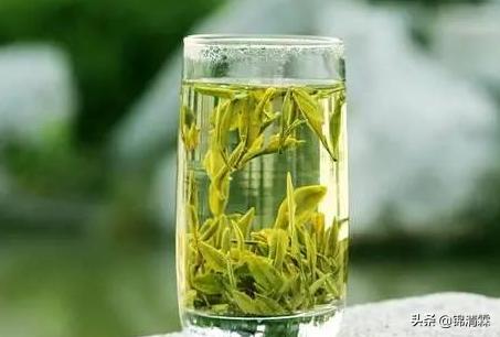 绿茶应该冲而不是泡,绿茶正确用法