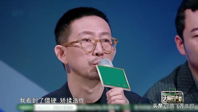 萨顶顶和丁太升对话,丁太升微博评价萨顶顶