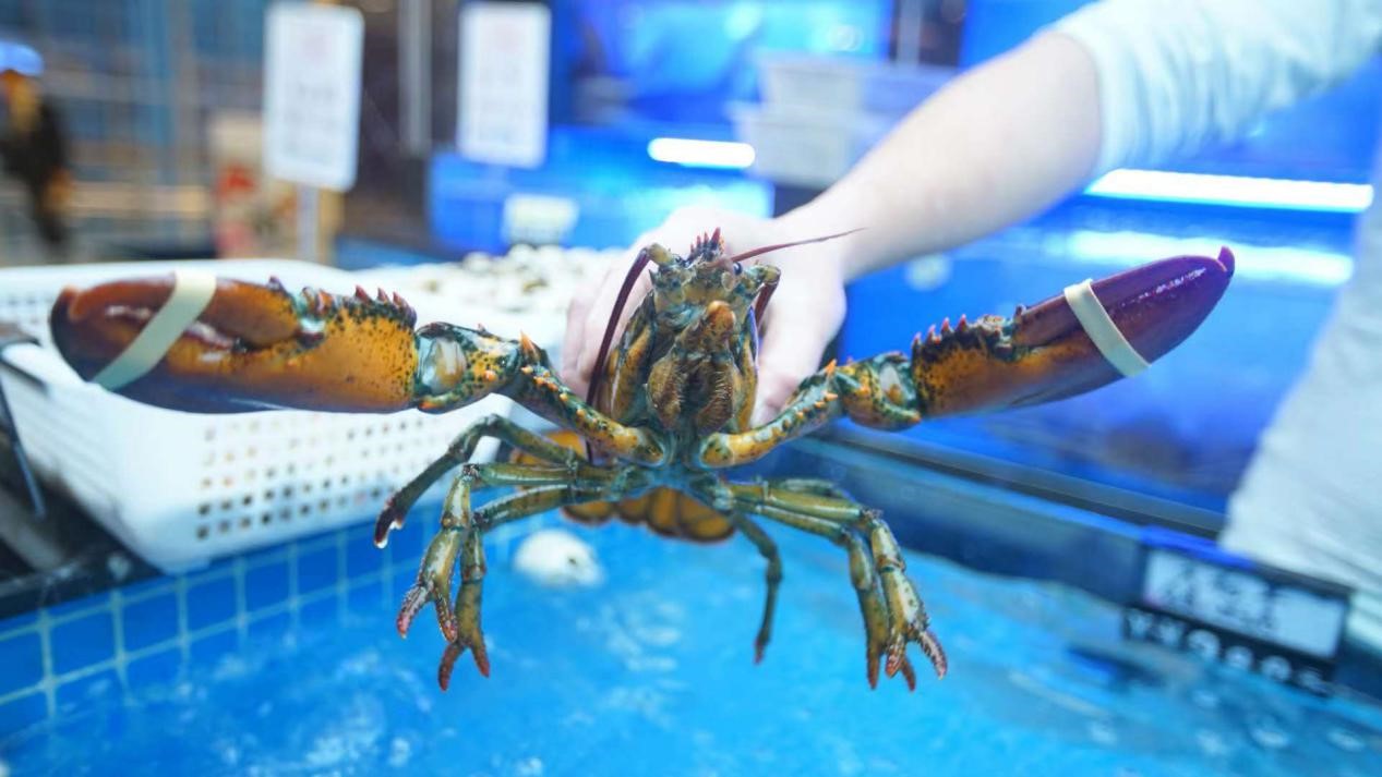 1号鲜铺加盟,1号鲜蒸汽海鲜西宸天街店