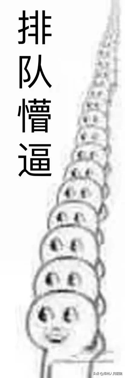 走路像鸭子一样摇摆,走路像鸭子的样子