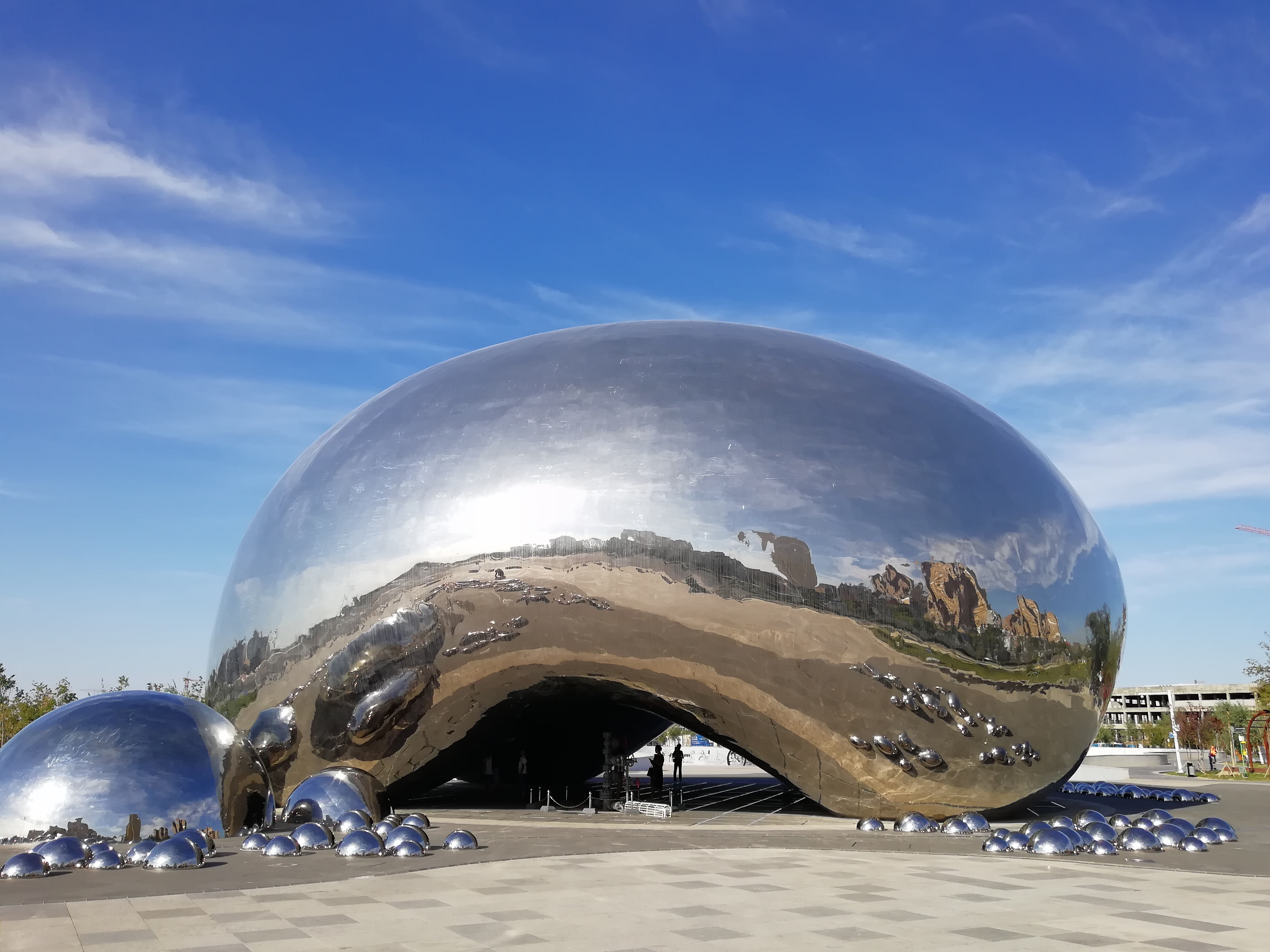 带狗自驾新疆注意事项,想带狗狗去新疆