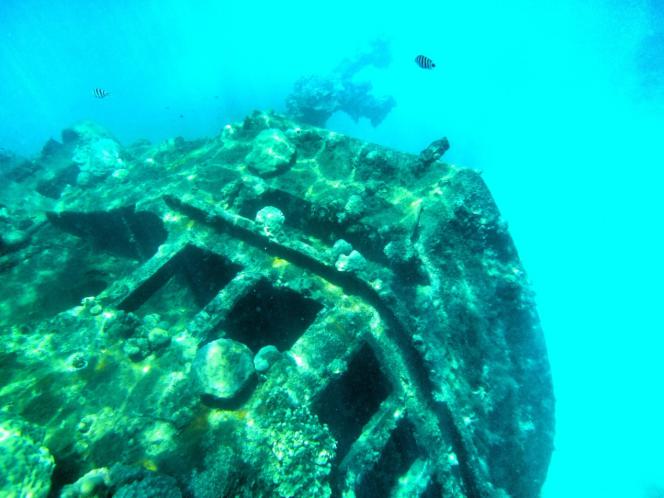 一定是特别的缘分——帕劳,再遇见「周若雪Patty」·上