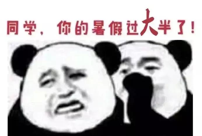 川大高能少年团,川大暑假攻略