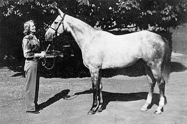 虎口脱险骑马片段,虎口脱险飞到瑞士为什么安全