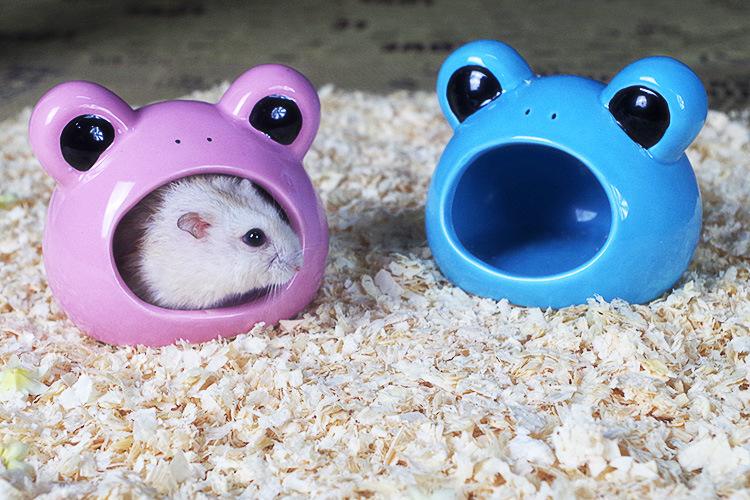 小仓鼠怕怪物,仓鼠怕什么音乐