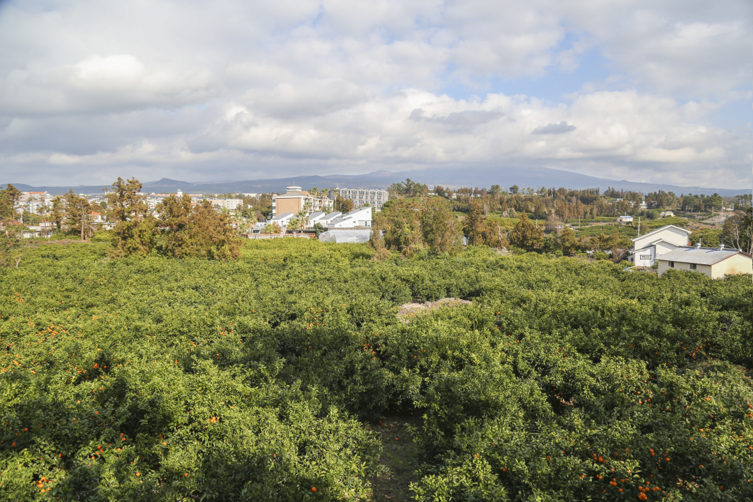 济州岛四天三晚旅游攻略,济州岛四天三晚旅游攻略图