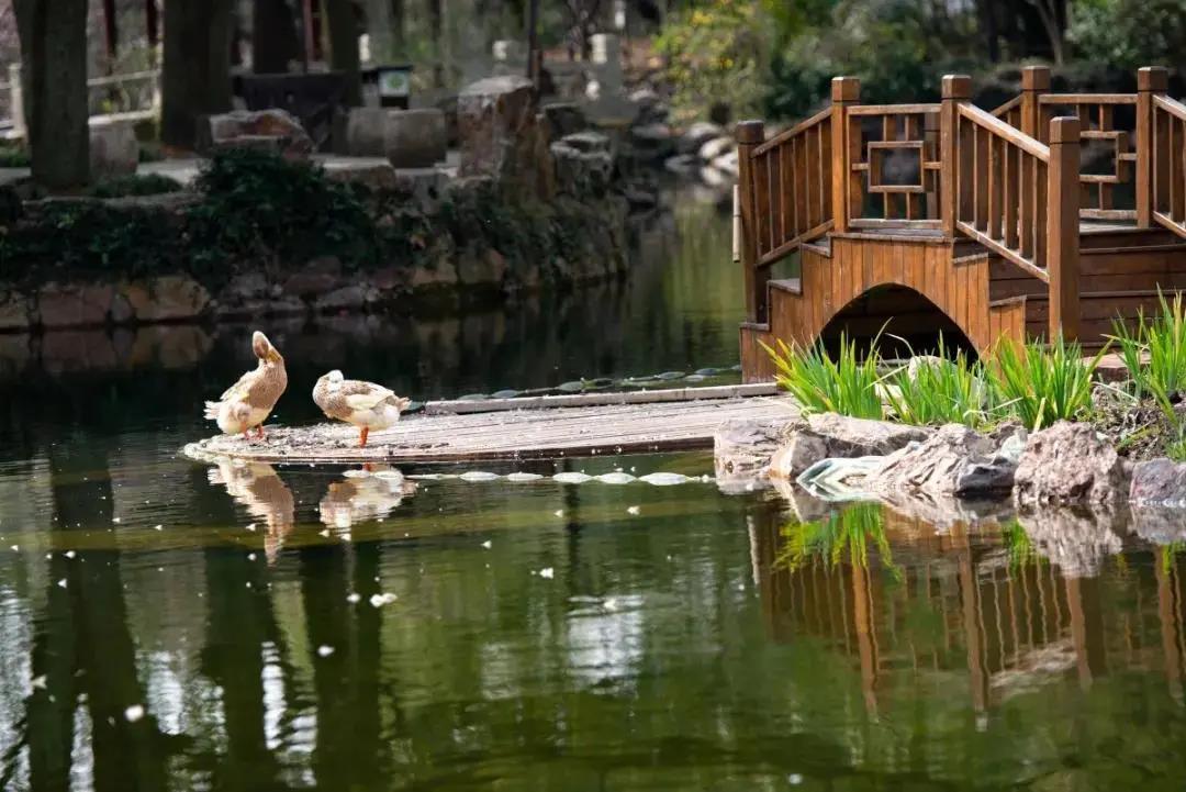 适合拍的古风景点,上海最值得拍照十条街