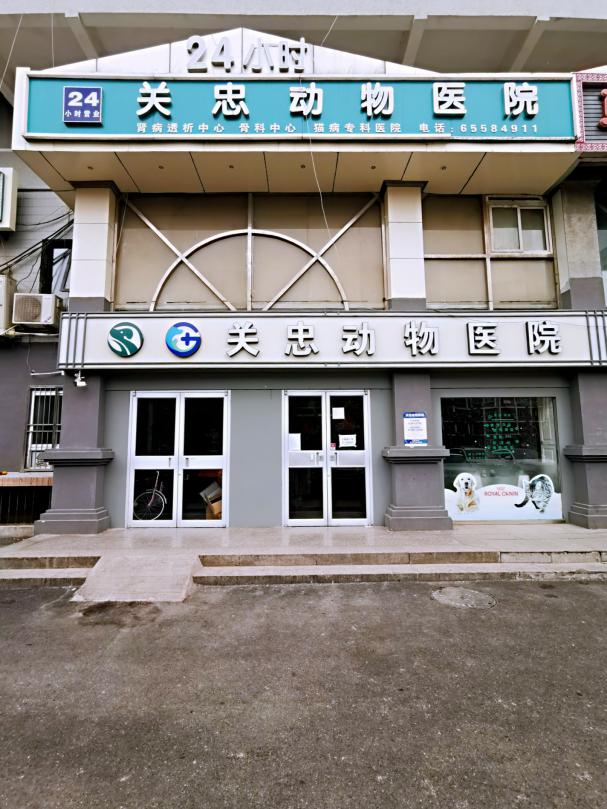 漳州瑞派宠物医院冠城分院,深圳瑞派宠物医院靠谱吗