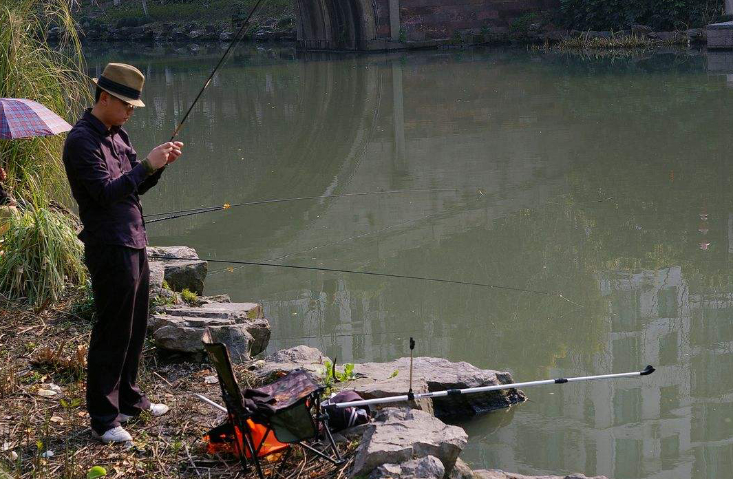 钓鱼王疯钓鲤推荐配方,钓鲤秘方