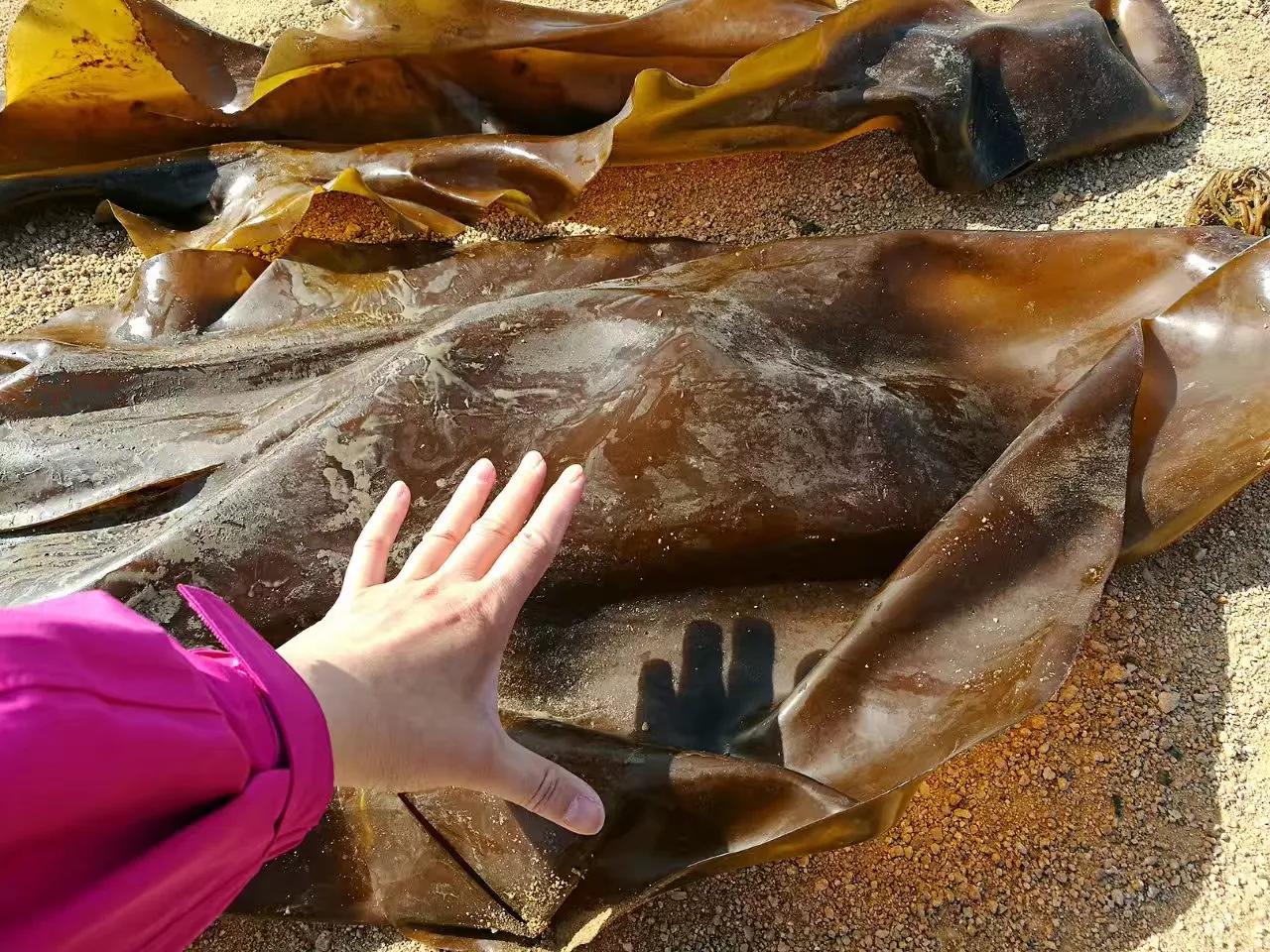 山东荣成定居好不好,外地人荣成落户条件