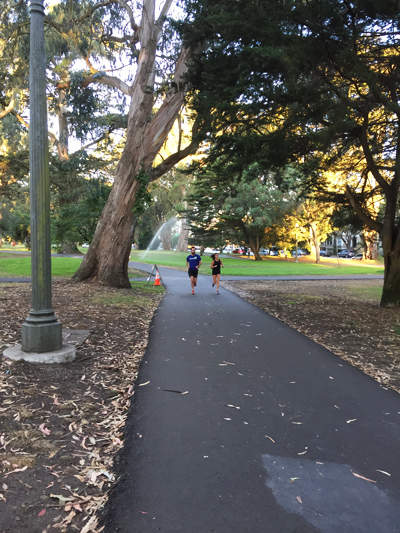 美国旧金山市规划,美国旧金山公园