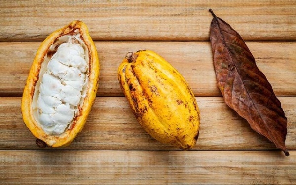 世界上两大巧克力王国,哪个国家是巧克力王国