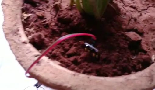 自制植物自动浇水器,盆栽自动浇水系统设计手册