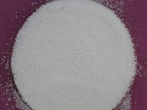 萌宠乐园史莱姆有毒吗,水晶史莱姆有毒吗