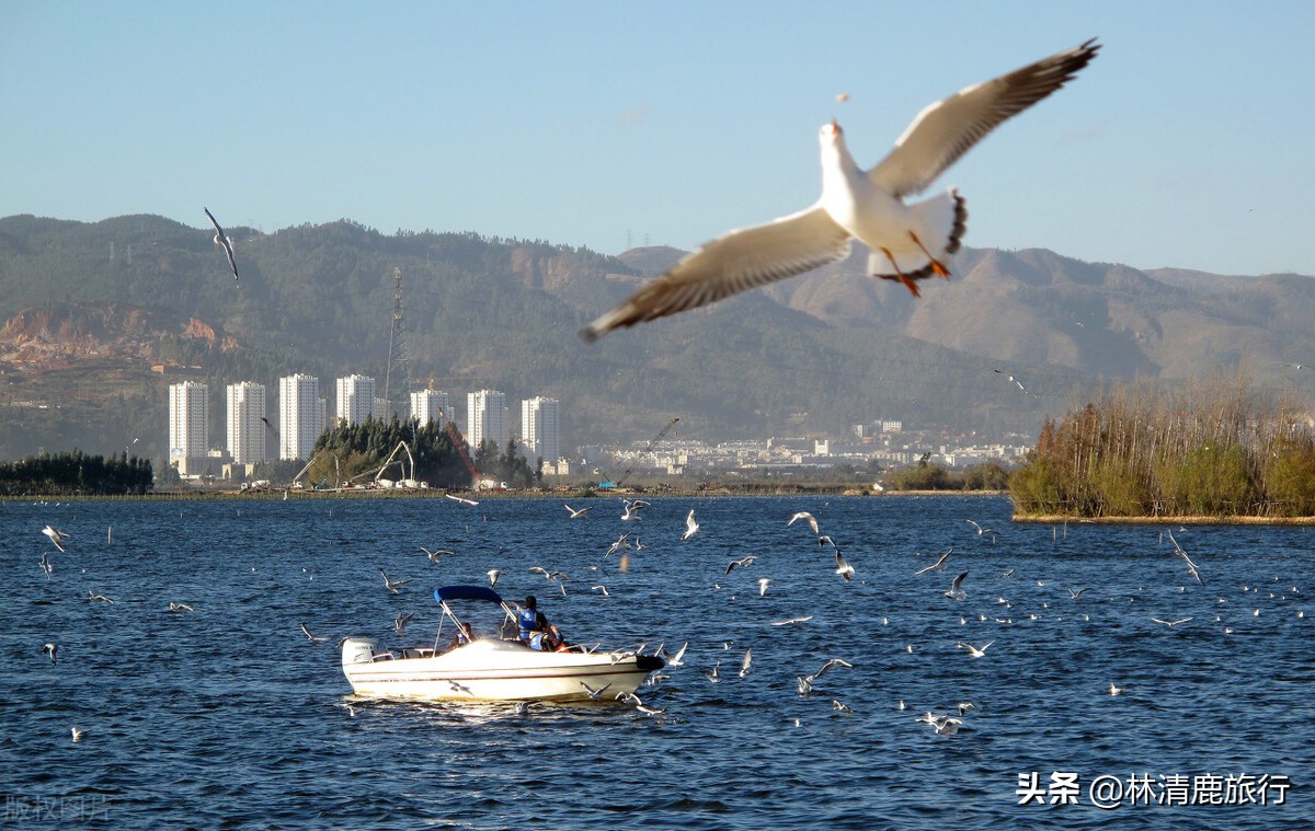 中国挑不出缺点的养老城市，交通医疗都很好，连空调都很少见