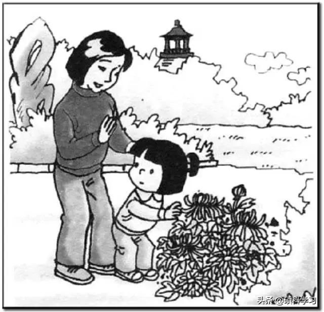 一二年级看图写话训练教程视频,一二年级看图写话训练教程