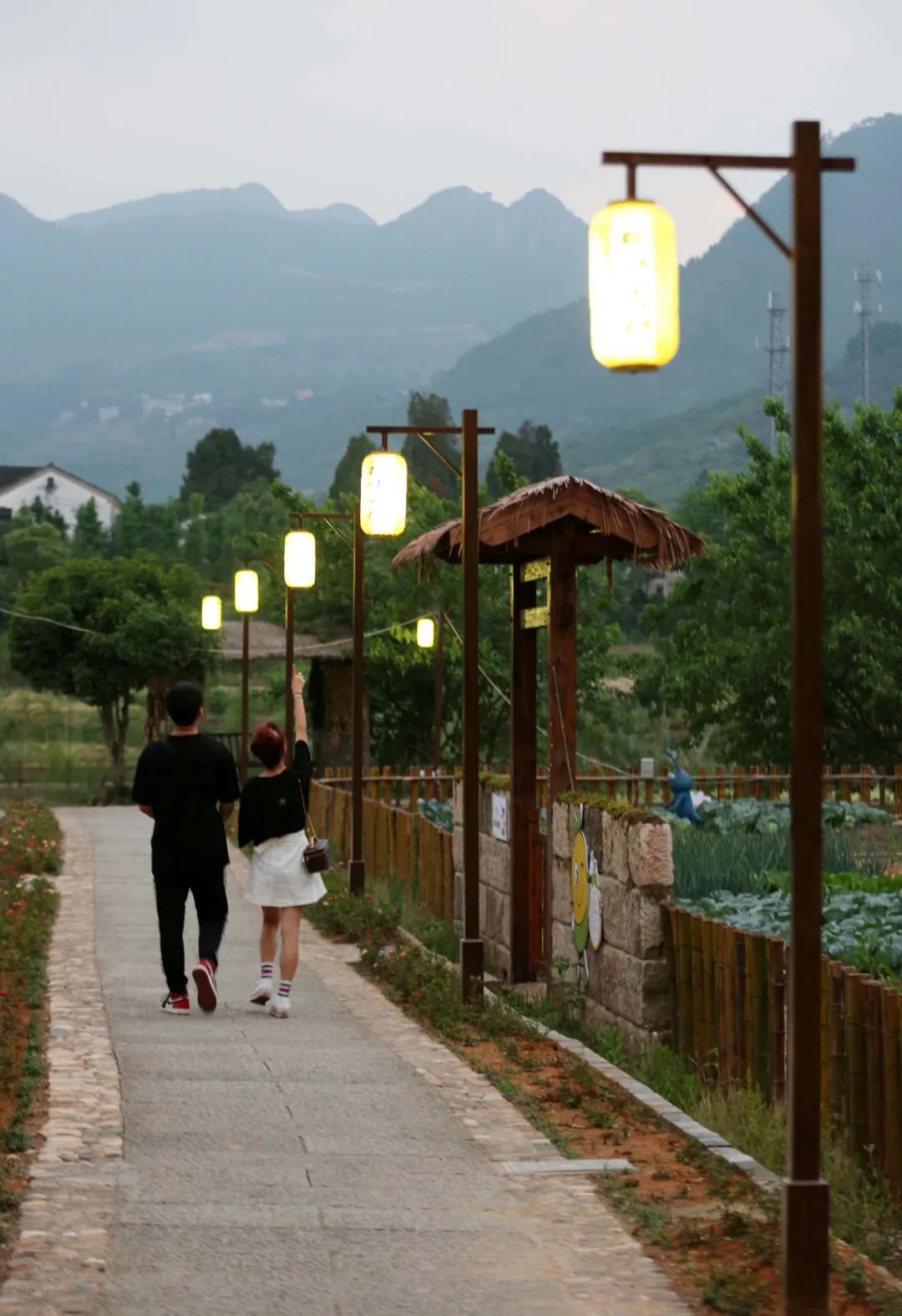 夜新叶，新叶夜，夜夜夜夜夜！唱吧醉仙居，探秘奶茶吧，茶憩戏曲馆，漫步烟花巷……每周六晚