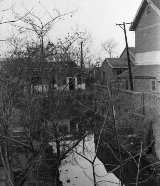 泰州人为何要错把洧字读成you?原来与《诗经》有关