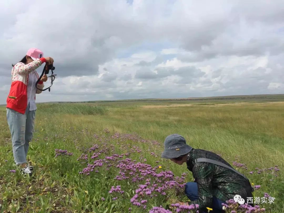 这女孩看到俄罗斯帅哥搭车，逼我停车，否则跳车