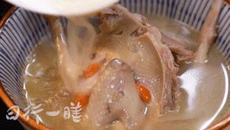 春季养肾鸽子汤,补肾鸽子汤怎么煲