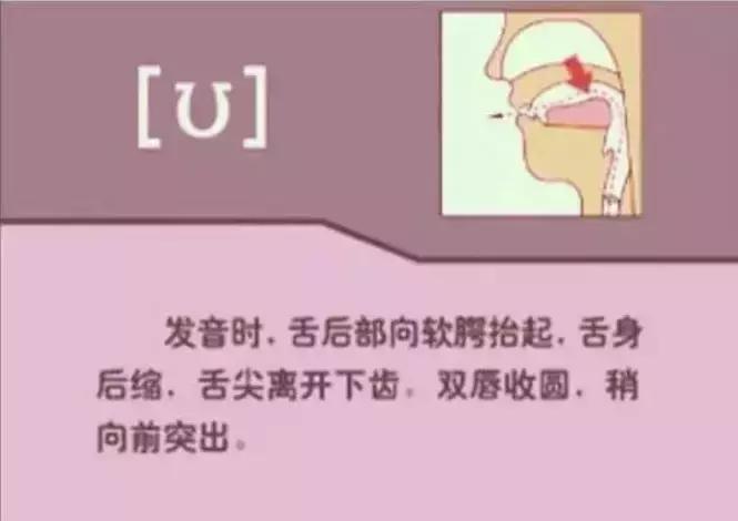 48个国际音标发音清晰口型示范,48个国际英语音标发音表及口型